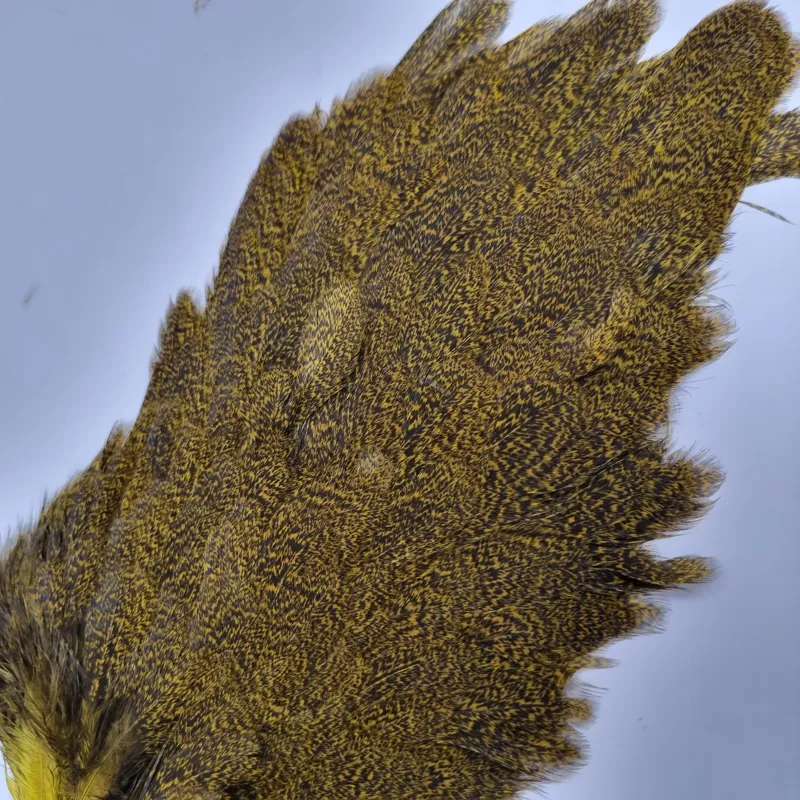 Whiting Coq de Leon Hen Saddle in Speckled Yellow-3